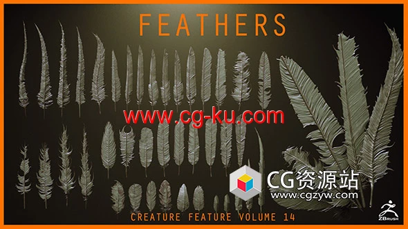 26组ZBrush羽毛笔刷预设+模型的图片1