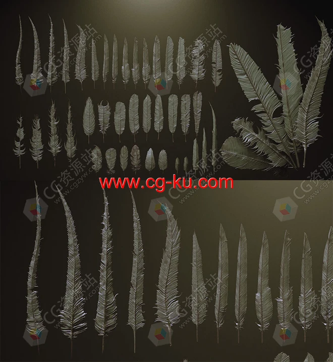 26组ZBrush羽毛笔刷预设+模型的图片2