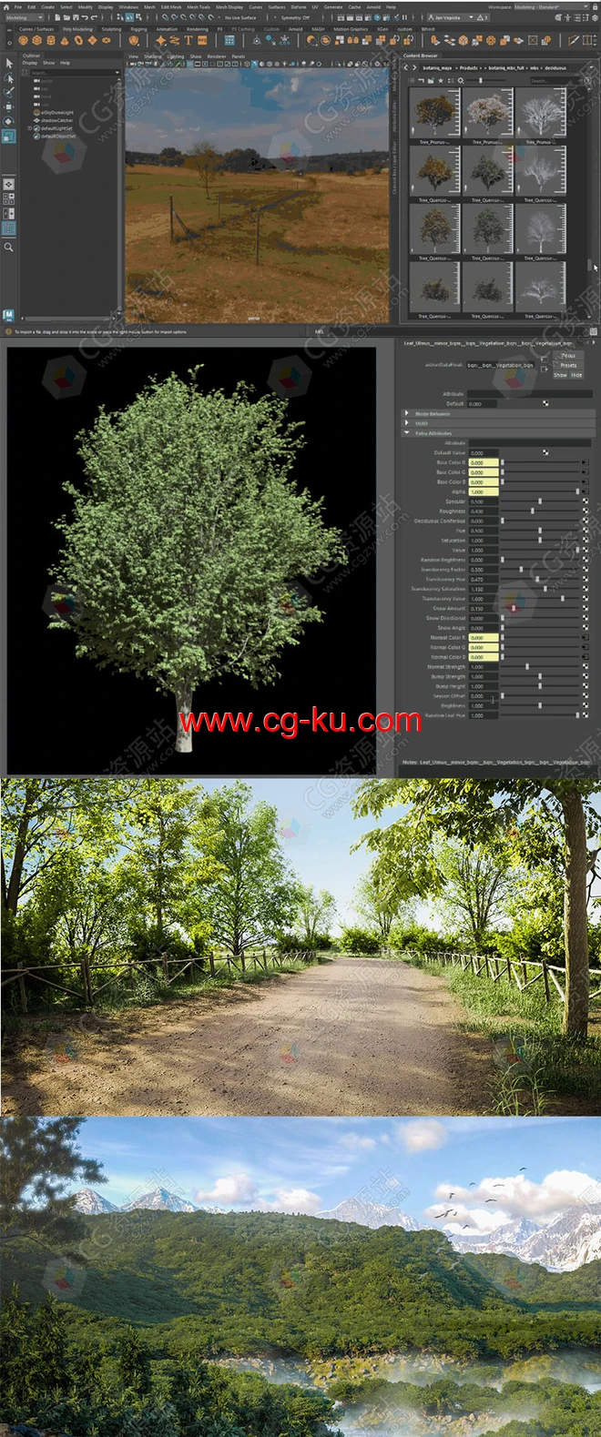 Maya预设130棵植被植物树木草地模型预设 botaniq Maya v1.0 Maya预设130棵植被植物树木草地模型预设 botaniq Maya v1.0的图片2