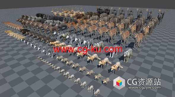 Unity野生森林动物包 Forest animals 1.0的图片1