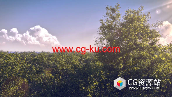 树木植物生成Blender插件 Tree Generator V2的图片1