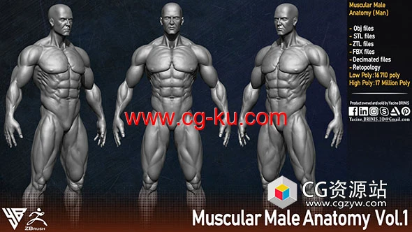 男性人体肌肉结构3D模型 ZTL/OBJ/STL/FBX格式的图片1