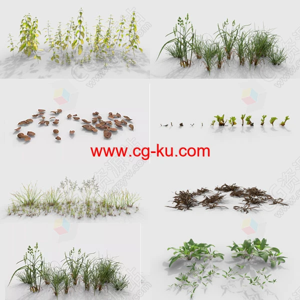 植物杂草树叶花草苔藓3D模型 C4D/Maya/Max/Blender/UE5格式的图片1