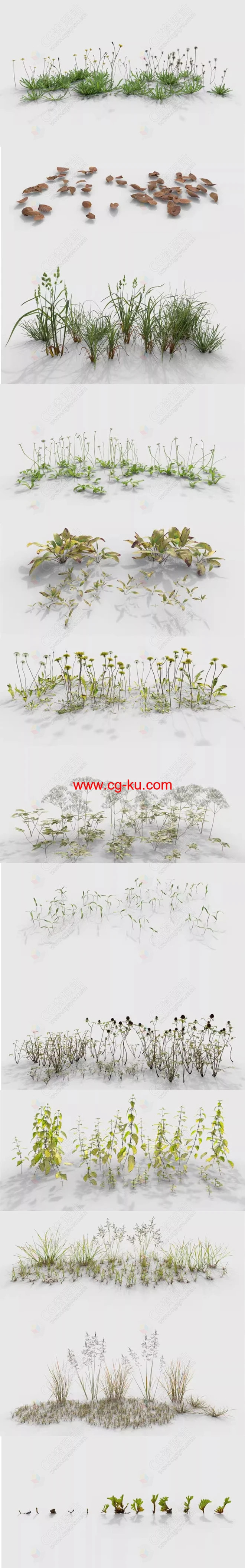 植物杂草树叶花草苔藓3D模型 C4D/Maya/Max/Blender/UE5格式的图片2