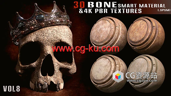 Substance painter 30种头骨材质预设+4k PBR纹理 第8卷的图片2