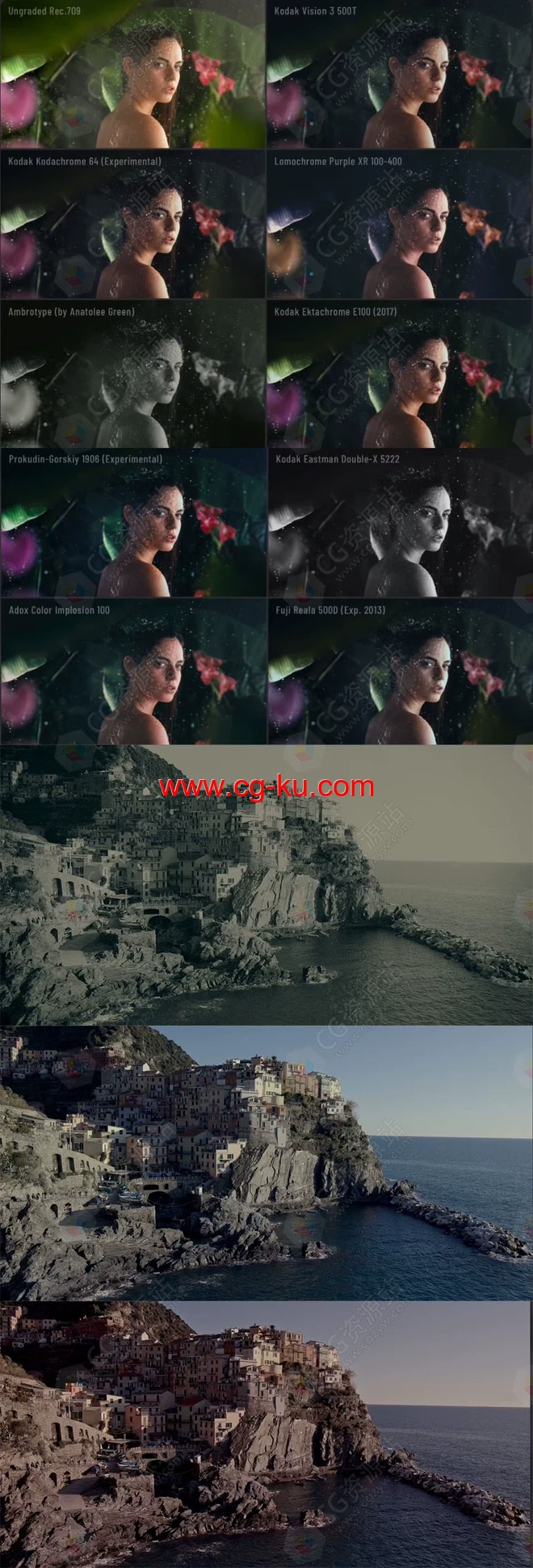 胶片模拟视频调色插件 Dehancer Pro 达芬奇/FCPX/AE/PR Win/Mac破解版的图片2