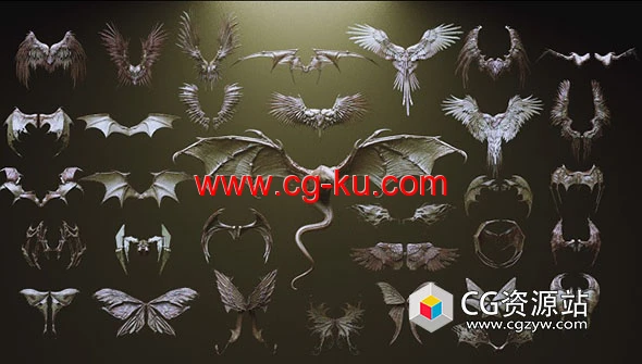 ZBrush 33个生物角色翅膀IMM笔刷3D模型合集的图片1