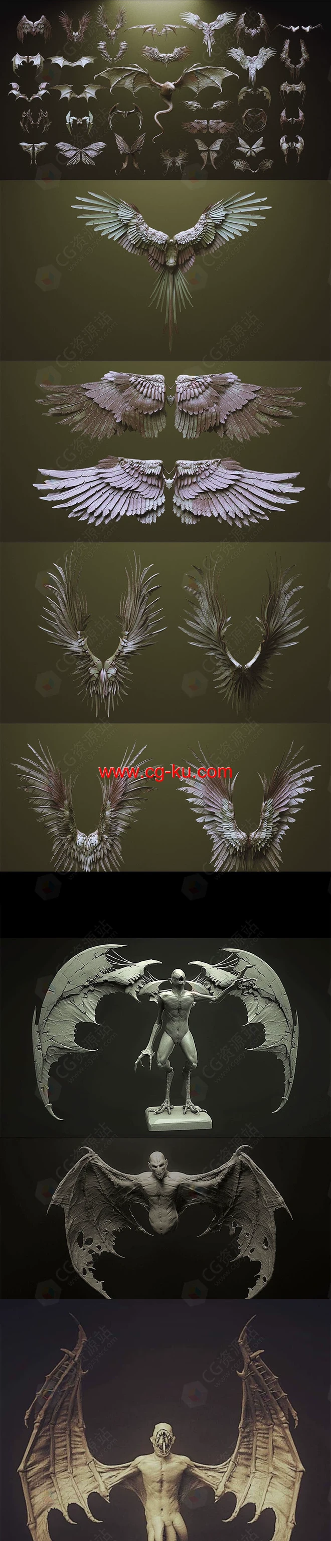 ZBrush 33个生物角色翅膀IMM笔刷3D模型合集的图片2