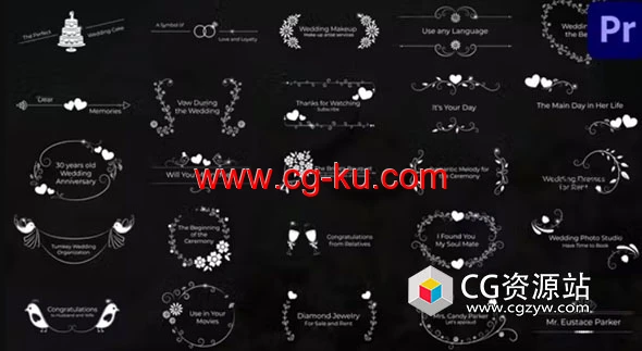 Pr模板-55个优雅可爱装饰婚礼标题动画 Wedding Titles的图片1