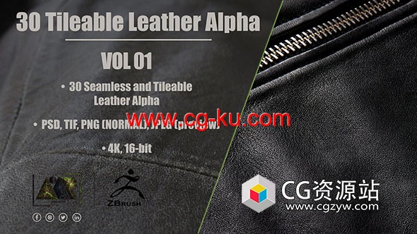 30个皮革无缝平铺贴图素材 30 Leather Alphas的图片1