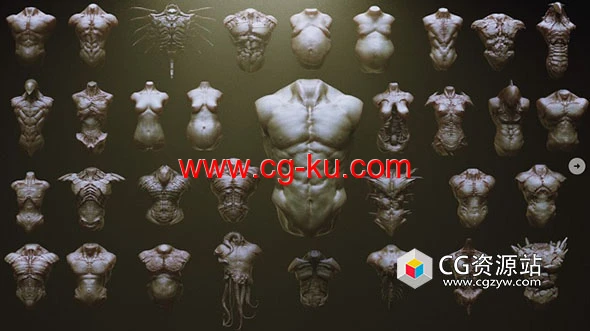 ZBrush 33种生物怪物躯干笔刷模型预设 33 Character & Creature Zbrush Insertmesh Brus的图片1