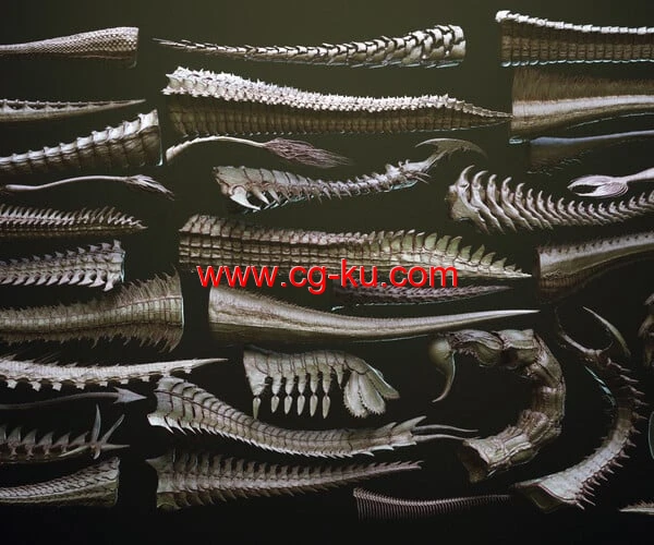 ZBrush 33种生物怪物尾部模型曲线笔刷预设 TAILS – 33 Tail Meshes & Curve Brushes的图片1