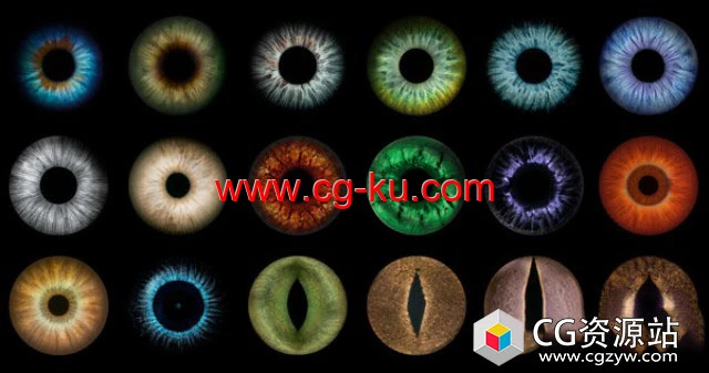 27组眼球虹膜图片素材 27 Eye Textures的图片1