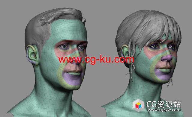 ZBrush基础人头模型预设  Production Ready Head Base Mesh的图片1