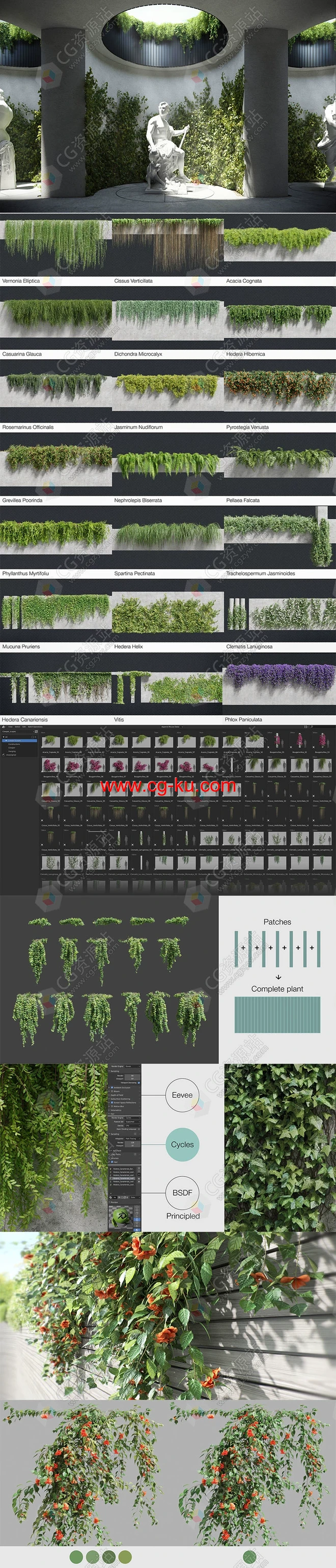 Blender自然景观常春藤爬山虎资产预设 Creeper Scapes的图片2