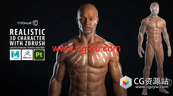 使用Zbrush制作逼真3D角色人体骨架肌肉解剖视频教程的图片1