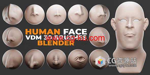 Blender-面部五官鼻子眼睛嘴巴耳朵VDM笔刷预设 Human Face Vdm Brushes的图片1