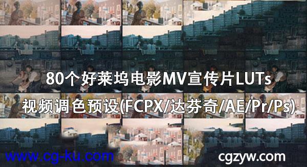 80组LUTs好莱坞电影胶片MV宣传片LUTs视频调色预设(FCPX达芬奇AEPrPs)的图片2
