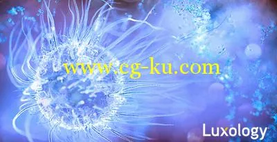 顶级三唯建模软件  Luxology Modo 501 Win/Mac with Keygen的图片1