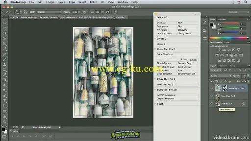 《Efex Pro 4色彩调色应用教程》video2brain Color Efex Pro 4 Workshop English的图片3