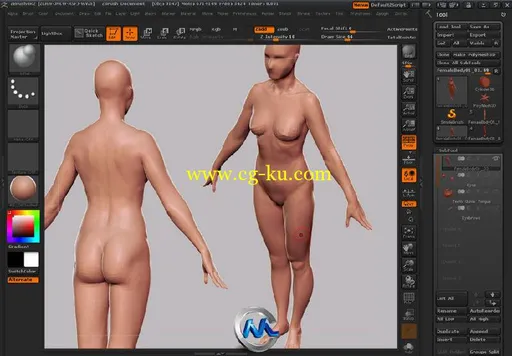 《Zbrush女性角色人体解剖绘制教程》Gnomon Human Anatomy Female UPDATED by Zack...的图片2