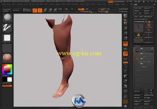 《Zbrush女性角色人体解剖绘制教程》Gnomon Human Anatomy Female UPDATED by Zack...的图片3