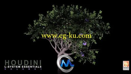 《Houdini中L-System基础使用视频教程》cmiVFX Houdini L-System Essentials的图片1