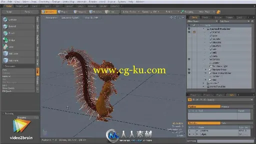 《Modo 601综合培训视频教程》video2brain Practical Workshop with modo 601的图片2