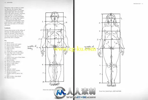 《人体结构解剖指南书籍》Anatomy A Complete Guide for Artists Dover Anatomy fo...的图片7