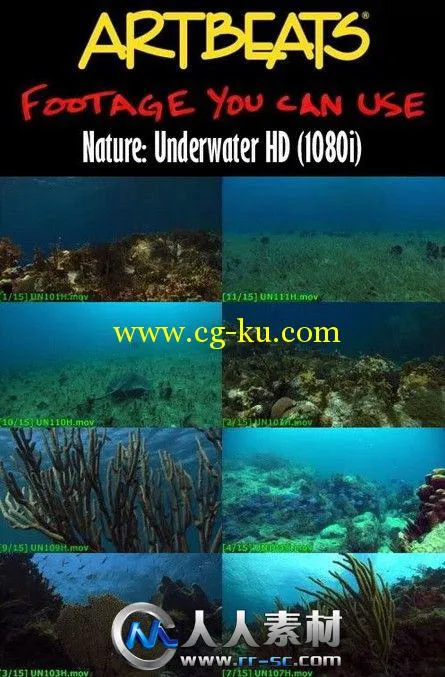 《海底世界高清实拍视频素材合辑》Artbeats Underwater HD的图片1