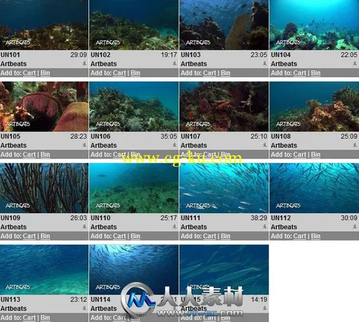 《海底世界高清实拍视频素材合辑》Artbeats Underwater HD的图片2