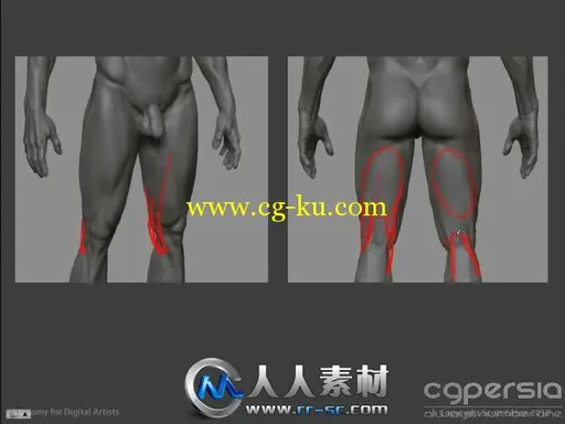 《人体解剖艺术学视频教程》Scott-Eaton Anatomy for Artists Online Course的图片3