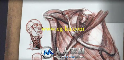 《人体结构与比率手绘绘画视频教程第五季》The Gnomon Workshop Anatomy Workshop ...的图片1