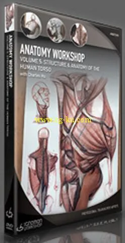 《人体结构与比率手绘绘画视频教程第五季》The Gnomon Workshop Anatomy Workshop ...的图片4