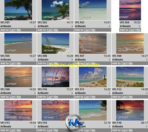 佛罗里达州海滩高清实拍视频素材合辑 Artbeats Florida Beaches V-Line的图片1