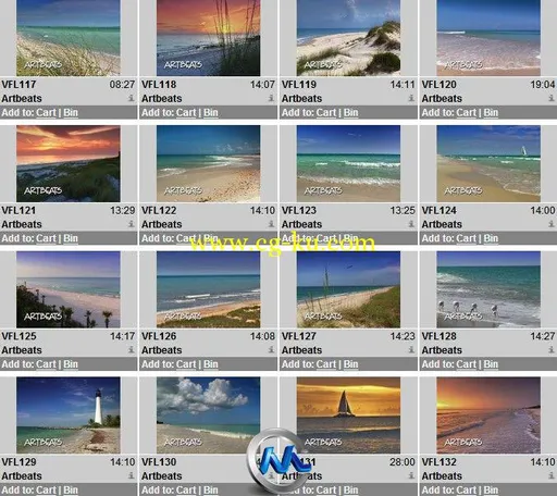 佛罗里达州海滩高清实拍视频素材合辑 Artbeats Florida Beaches V-Line的图片2