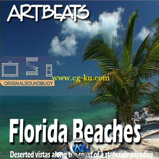 佛罗里达州海滩高清实拍视频素材合辑 Artbeats Florida Beaches V-Line的图片3