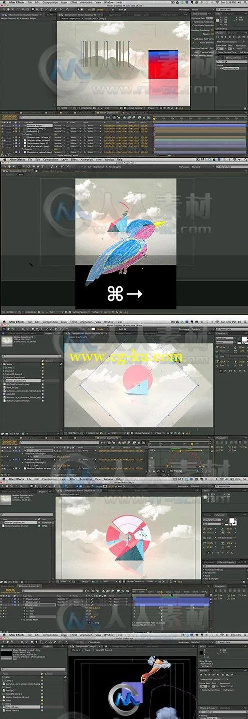 AE小鸟包装动画训练视频教程的图片2