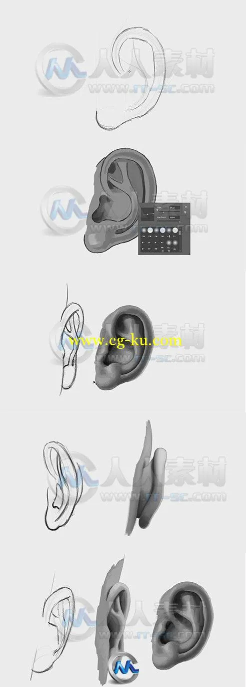 Photoshop耳朵绘制技法视频教程的图片1