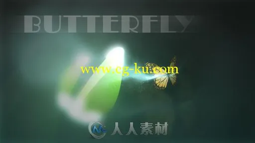 美丽蝴蝶飞舞Logo演绎动画AE模板 Videohive Butterfly Logo Reveal 6280982 Projec...的图片2