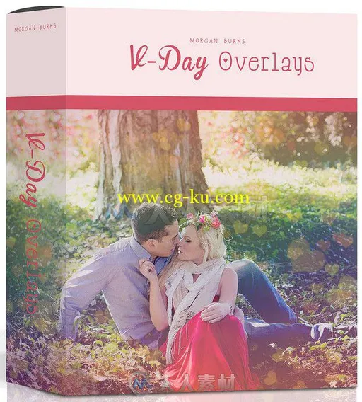 11组爱情婚纱氛围渲染背景平面素材合辑 Morgan Burks MB V-Day Overlays的图片1