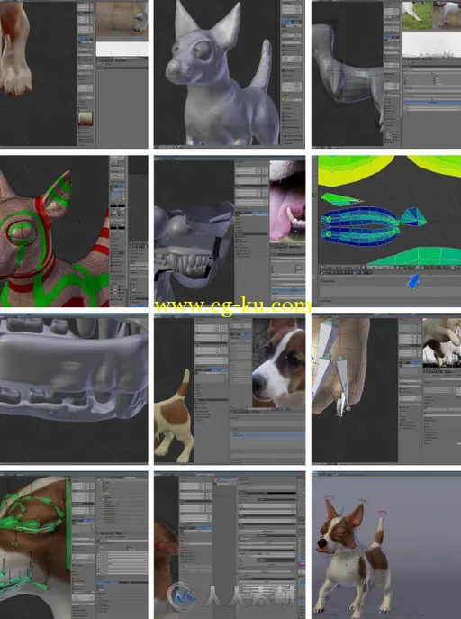 Blender可爱小狗建模贴图骨骼动画完整制作训练视频教程 Gumroad Jack Russell Blen...的图片1