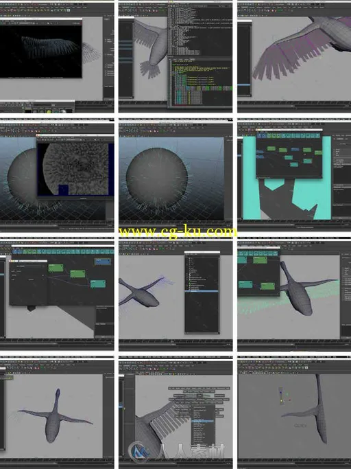 Peregrine labs Yeti羽毛制作实例训练视频教程 Gumroad Feather wing grooming and...的图片1