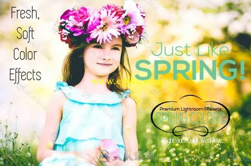 25组暖心春日色彩调色特效Lightroom预设 Creativemarket Spring Colors Lightroom ...的图片1