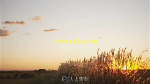 黄昏田野高清实拍视频素材的图片3
