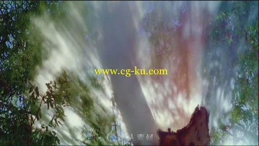 朦胧的树影高清实拍视频素材的图片1