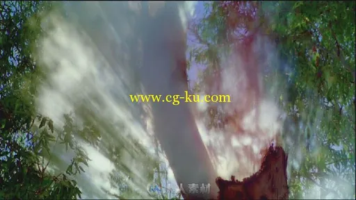朦胧的树影高清实拍视频素材的图片2