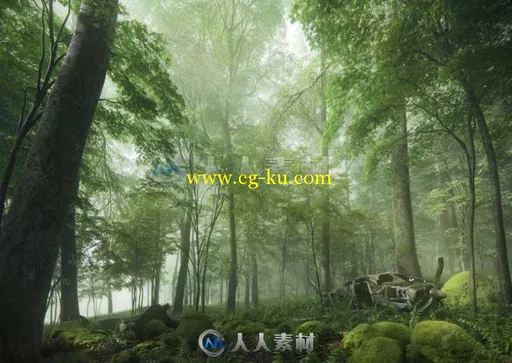 60组树木植物专业3D模型合辑C4D版 EVERMOTION ARCHMODELS VOL.154的图片1