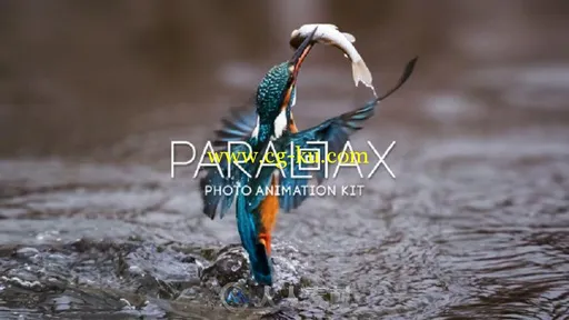 3D视差照片幻灯片展示相册动画AE模板 Videohive Parallax Photo Animation Kit 4K ...的图片1
