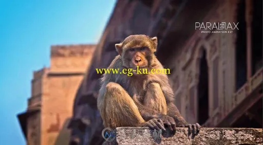 3D视差照片幻灯片展示相册动画AE模板 Videohive Parallax Photo Animation Kit 4K ...的图片2